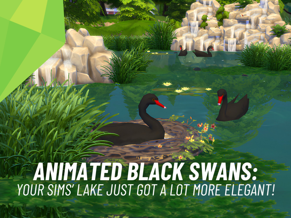 Animated Black Swans: Incredible New Pond Animals Arrive in The Sims 4! 4 Animated Black Swans