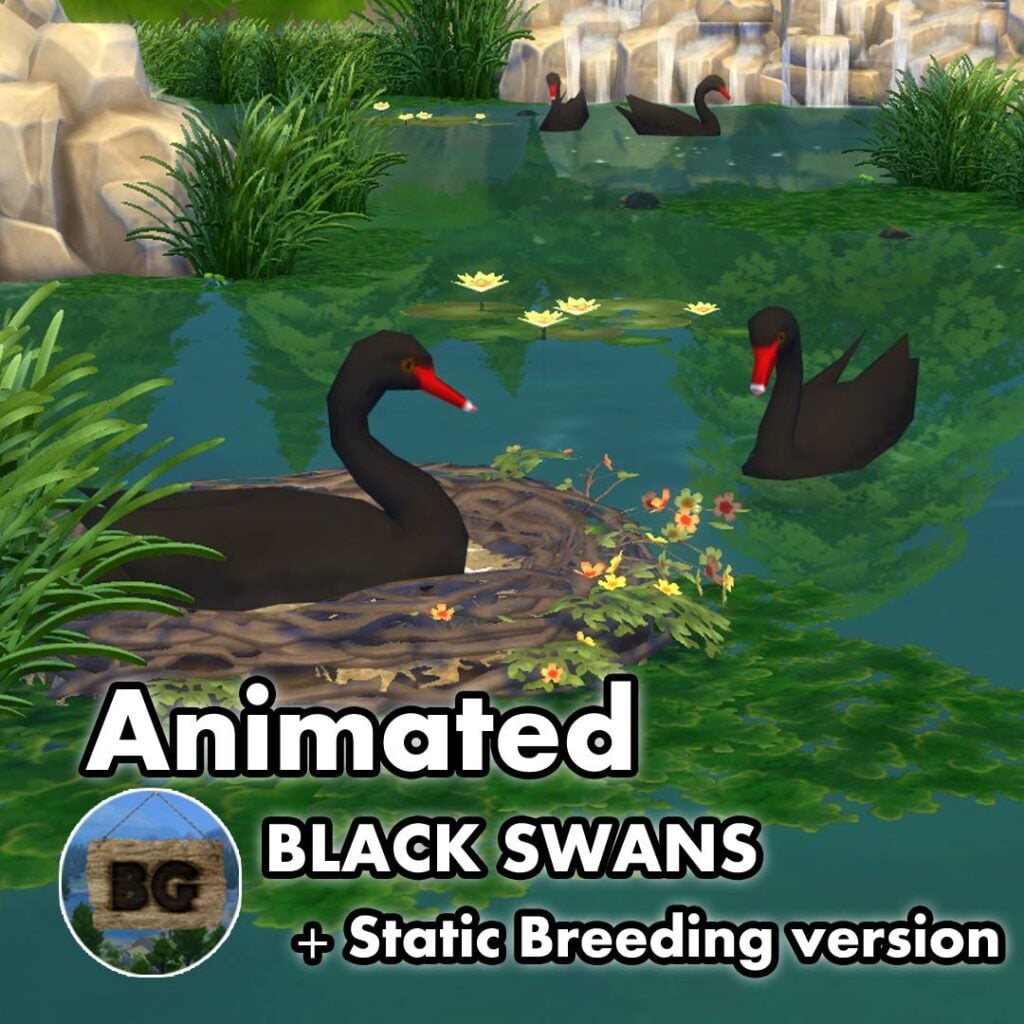 Animated Black Swans: Incredible New Pond Animals Arrive in The Sims 4 7 thumbnail curseforge animated black swans jpg