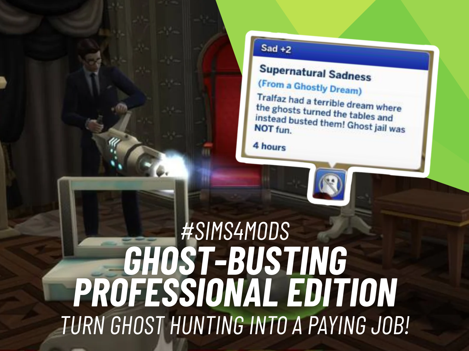 Ghost Busting Professional Edition
