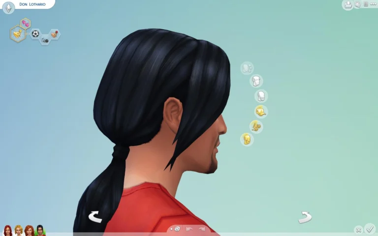 Long Ponytail for Men