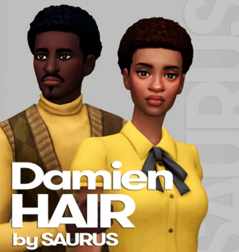 Damien Hairs – sims 4 afro