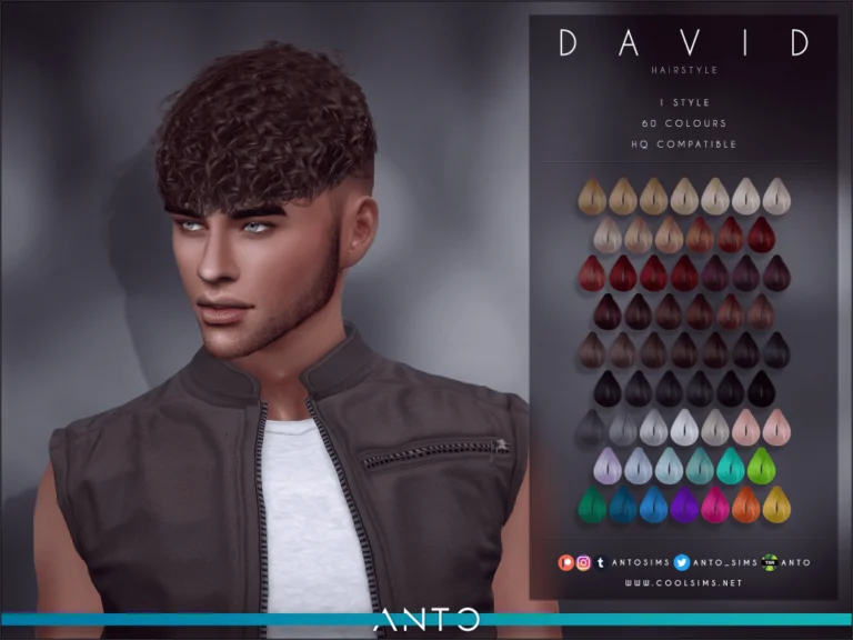 David Hairstyle