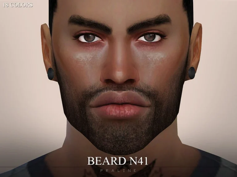 Beard N41